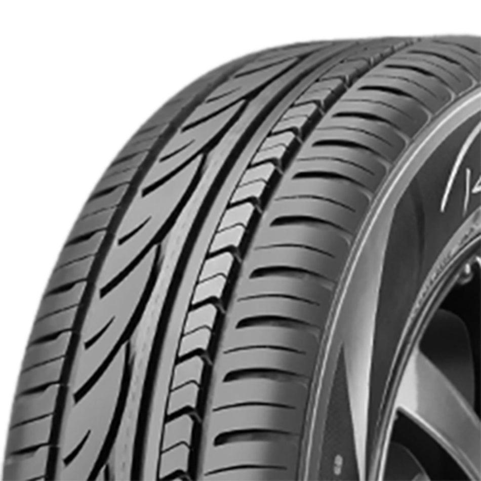 195/65 R15 95V Radar RPX800 XL